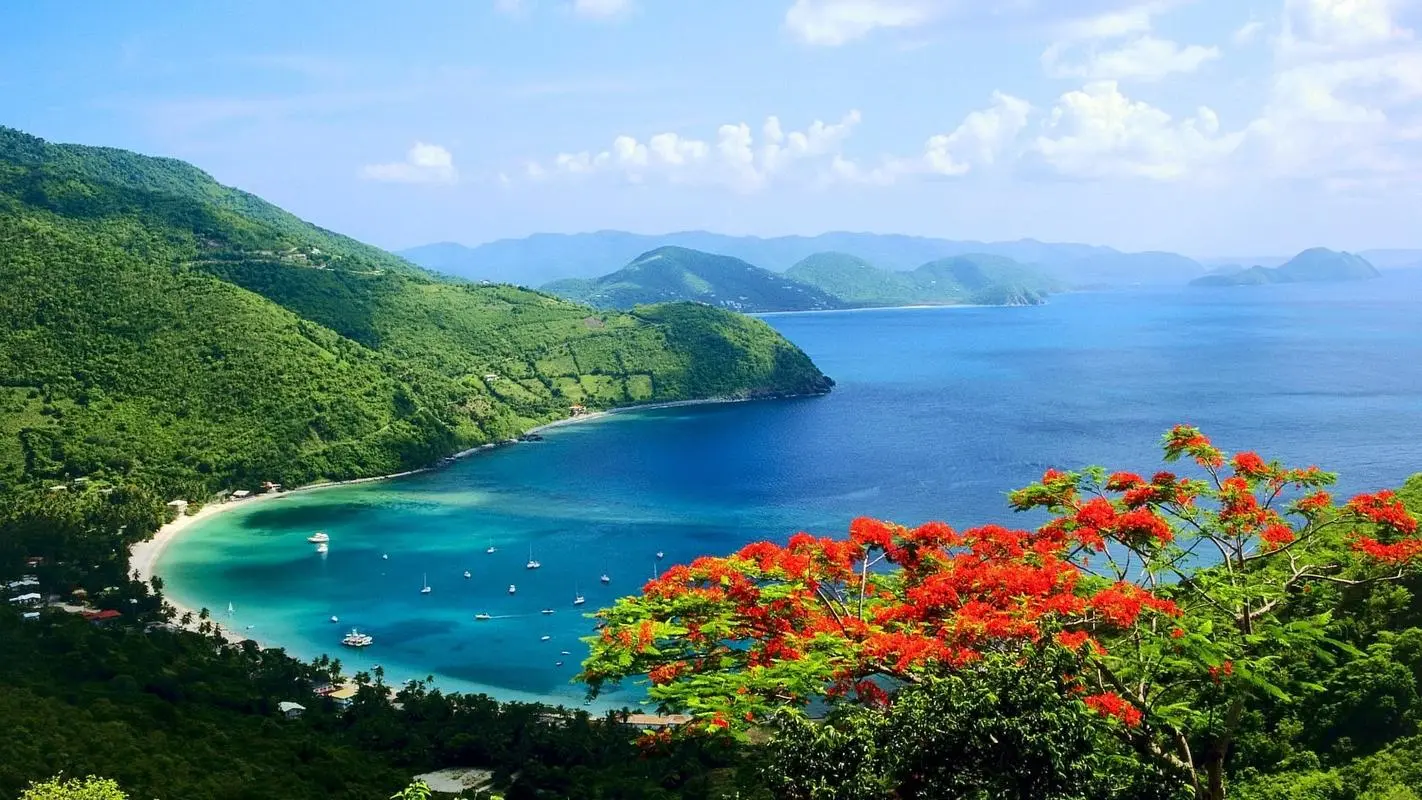 精密精密